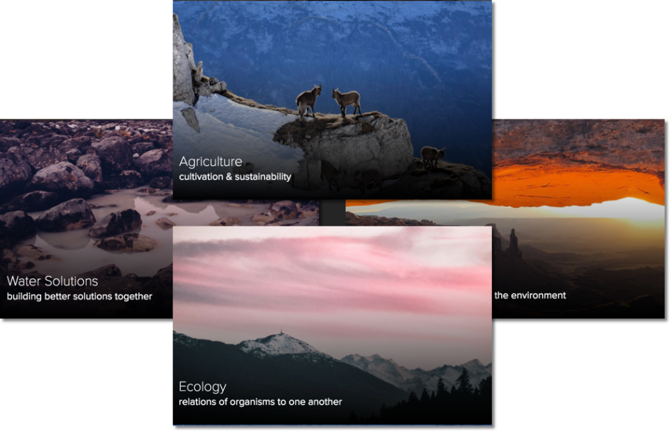 screenshot of Empact Collaboration Software